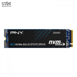 SSD PNY 256GB, NVMe PCIe